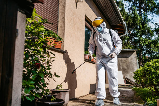 Reliable Norcross, GA Pest Control Solutions