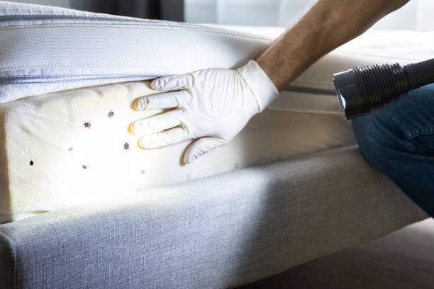 Best Pest Prevention Services  in Norcross, GA