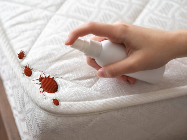 Best Cockroach Control Services  in Norcross, GA