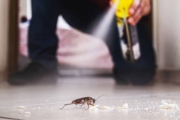 Best Residential Pest Control  in Norcross, GA
