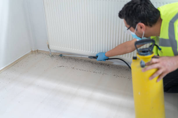 Pest Prevention Services in Norcross, GA