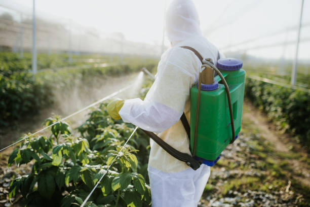 Best Pest Prevention Services  in Norcross, GA